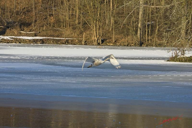 Cjp_2009_01_10_145550 (2).jpg